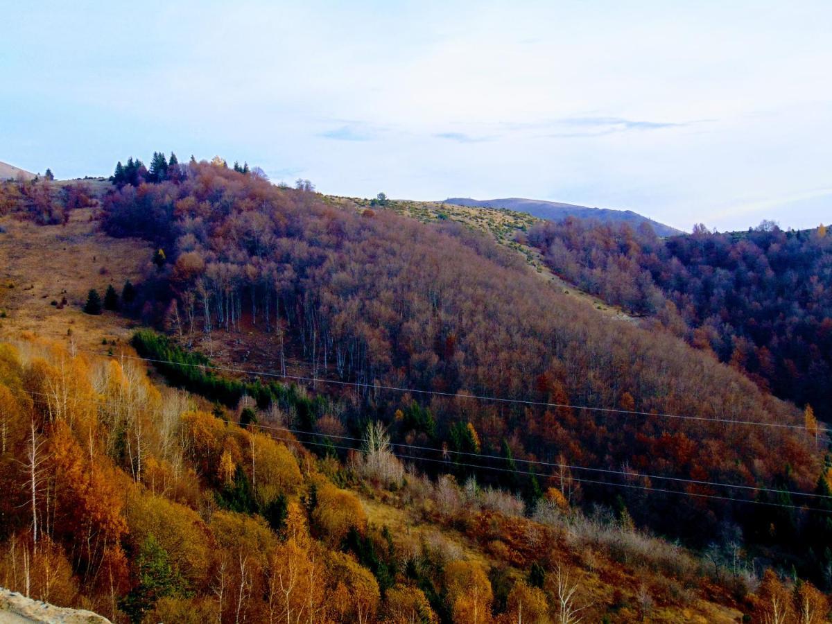 Sunny Days Apartman Kopaonik Zewnętrze zdjęcie