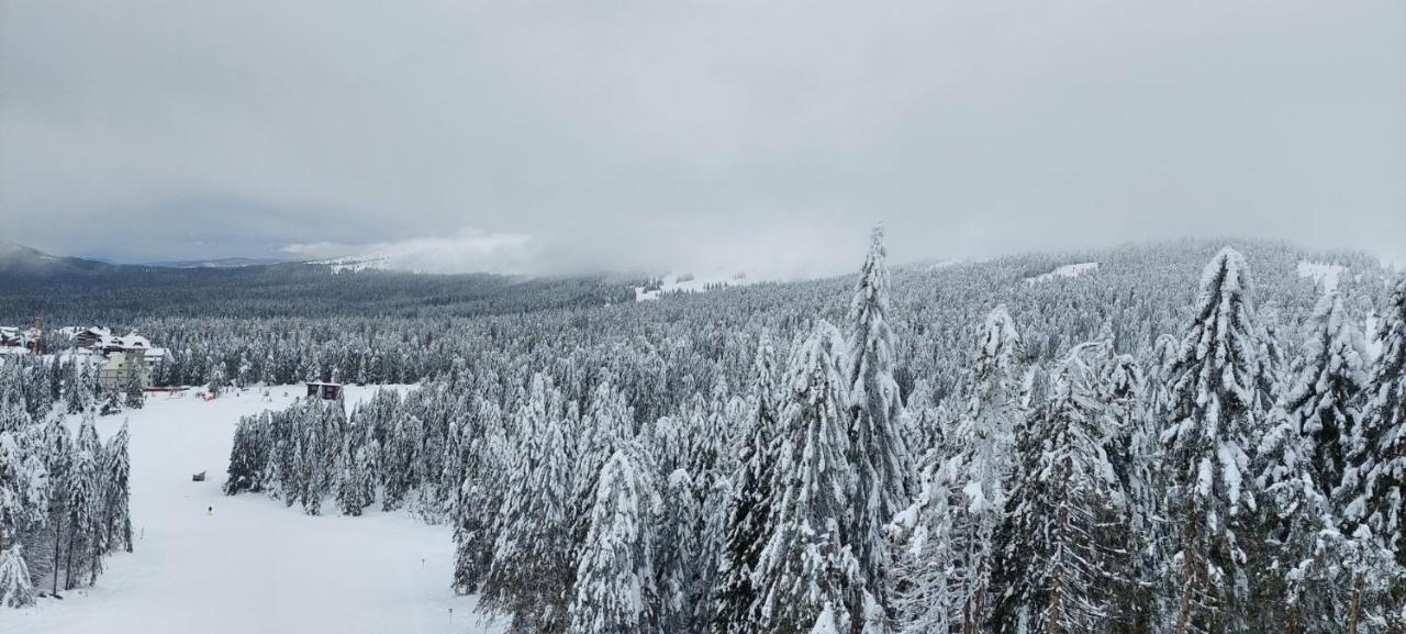 Sunny Days Apartman Kopaonik Zewnętrze zdjęcie